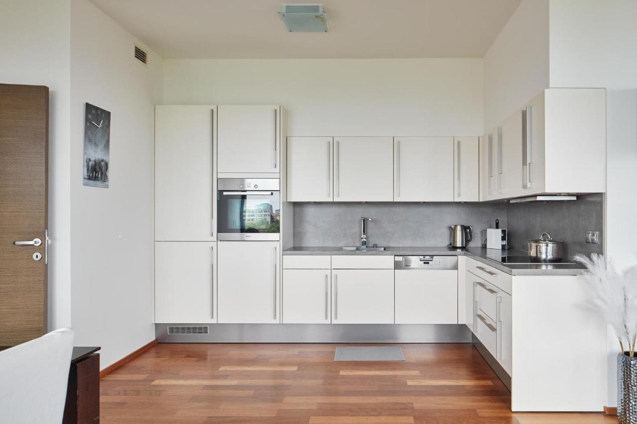 Spacious In Nusle By Days Apartment Prague